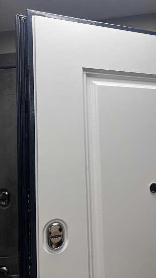 Входная дверь  