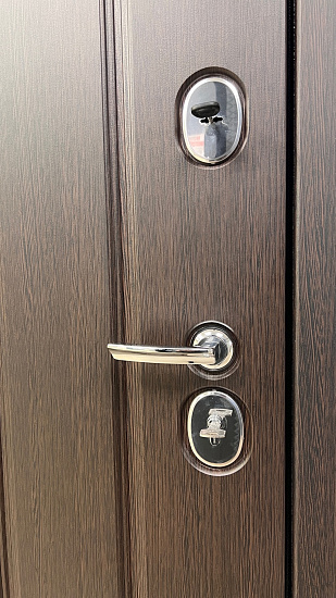 Входная дверь  