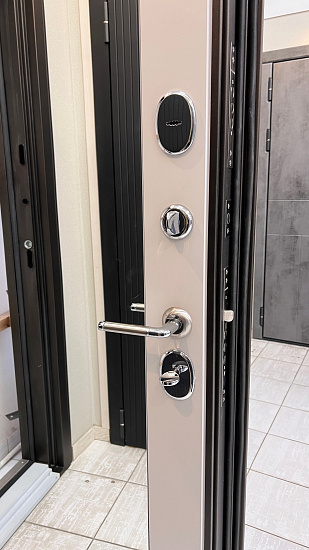 Входная дверь  