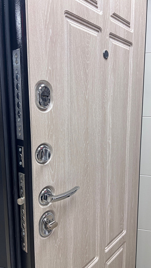 Входная дверь  