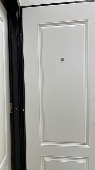 Входная дверь  