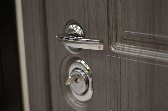 Входная дверь  