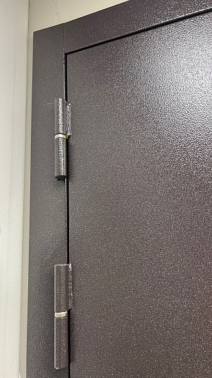 Входная дверь  