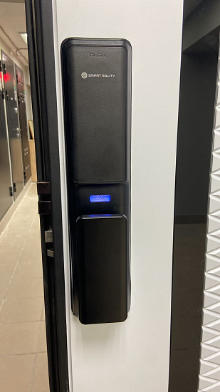 Входная дверь  