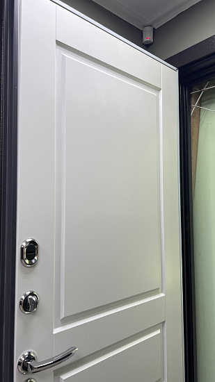 Входная дверь  