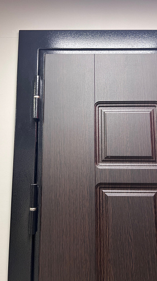 Входная дверь  