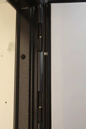 Входная дверь  