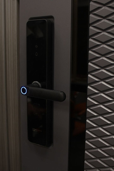 Входная дверь  