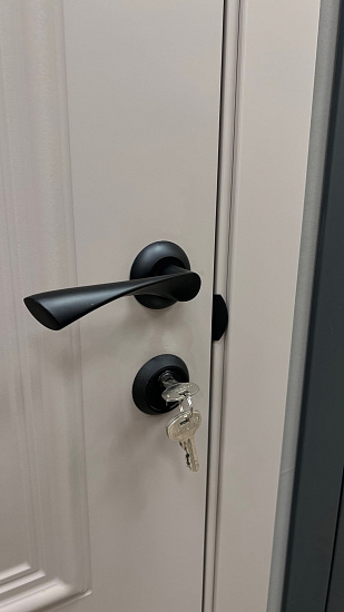 Межкомнатная дверь  