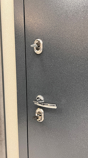 Входная дверь  