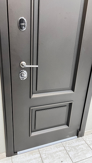 Входная дверь  