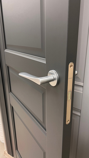 Межкомнатная дверь  