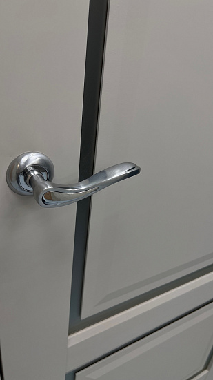 Межкомнатная дверь  