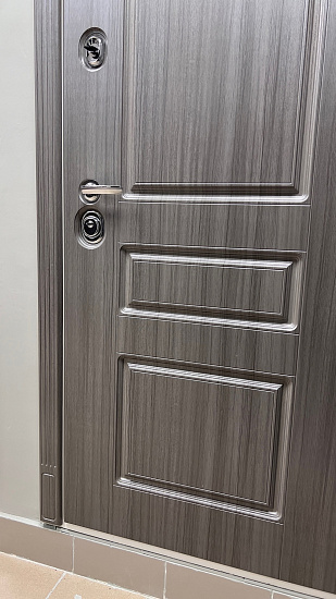 Входная дверь  