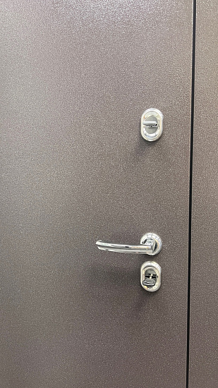 Входная дверь  