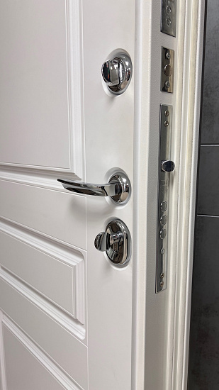 Входная дверь  