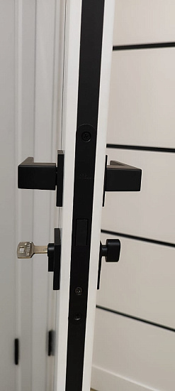 Межкомнатная дверь  