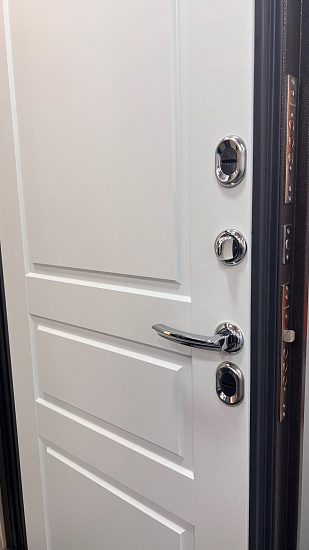 Входная дверь  