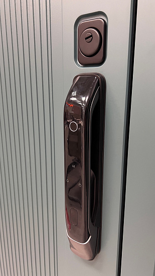 Входная дверь  