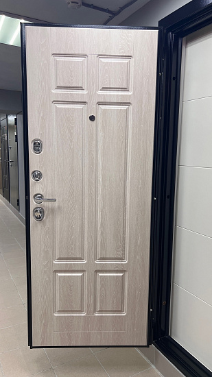 Входная дверь  