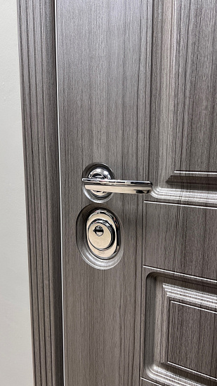 Входная дверь  